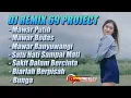 Dj Remix 69 Project Full Album Terbaru Divana Project
