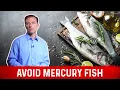 Mercury Fish List What Fish Should I Eat to Avoid Mercury - Dr Berg