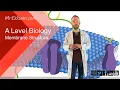 Membrane structure - A Level Biology