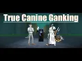 True Canine Ganking Rogue Lineage