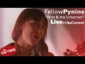 Download Lagu Fellow Pynins – Wild \u0026 the Untamed (live at The Current)