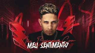 NÃO BRINQUE COM MEU SENTIMENTO / TIK TOK - MC Marley e MC Lara (Remix Brega Funk)