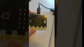 Using the micro bit nametag