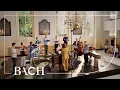 Download Lagu Bach - Cantate Ach! ich sehe, itzt, da ich zur Hochzeit gehe BWV 162 | Nederlandse Bachvereniging