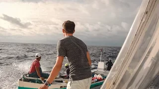Approached at Sea 100 Miles from Land – Sailing to Ecuador