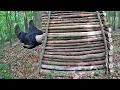 Bushcraft Outhouse Survival Shelter - 5 Tips for How to Poop in the Woods 3 Day Campout