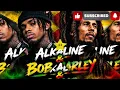 STILL MOVING BY ALKALINE X BOB MARLEY “OFFICIAL VISUALIZER ”