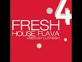 Download Lagu Fresh House Flava 4 - Mixed by DJ Fresh [2001]