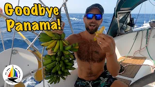 We are leaving Panama! 🥹 Sailing Bohemia Ep. 187