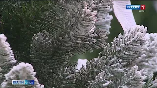 В Омске впервые официальные ёлочные базары откроются только за две недели до Нового года