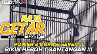 Download KACER RAJA GETAR ! POWER \u0026 DURASI KERJA NYA SUSAH DIKALAHIN !!! MP3