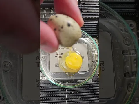 egg server