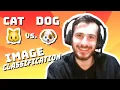 Cat vs Dog Image Classification CNNs - Data Every Day
