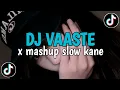 Lagu DJ VAASTE X MASHUP SLOW KANE ❗️VIRAL TIKTOK 2025