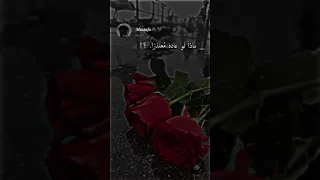 انا بدفع عمري ونرجع سوا بطئ 