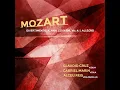 Divertimento, K. Anh. 229/439b, No. 4: I. Allegro (Arr. for Violin, Viola and Cello by Claudio...