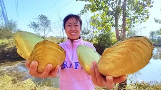 A vast number of giant golden shells have appeared. What is this a sign of?