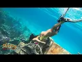 Lagu Shipwreck Sexy BIKINI Dive ~Swimming Underwater ~Beautiful Marine Environment~ Mandalay Wreck