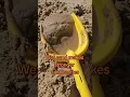 Download Lagu Amazing Sandcastle Building Hack to Save Time 🌊🌴🐚 #sandcastles #lifehacks