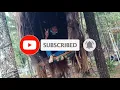 Download Lagu HATI YANG KAU SAKITI BAJIDOR