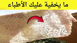 هل تعلم ماذا يفعل شحم الخروف حينما يدخل لأجسادنا   ما لم يخبروك به عن فوائد شحم الخروف دندنها