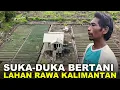 Download Lagu RISIKO BERTANI DI LAHAN PESISIR TRANSMIGRASI KALIMANTAN, DAUN BAWANG PAK SUDIWANI LAYU KARENA BANJIR