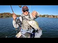 FLATHEAD BONANZA HUGE Live Baits Get DEVOURED