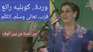 وردة قر ب تعالى وسلم إتكلم من أغنية من بين ألوف كعب عالي وطرب خارق 