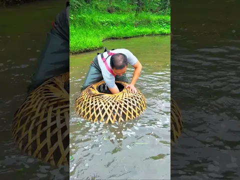 অবাক কান্ড বিশাল বড় পোলি দিয়ে একি মাছ ধরলো 🐟amazing trending fishing catching skills #shorts #yt