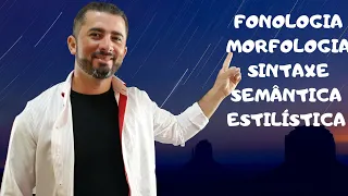 GRAMÁTICA: FONOLOGIA, MORFOLOGIA, SINTAXE, SEMÂNTICA E ESTILÍSTICA