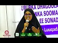 Download Lagu Ururka SONAD oo Muqdisho Ku Qabatay Tababar Ku Saabsan Luqadda Tilmaanta