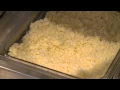 Noah s Ark CLIP