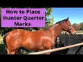 How to Place Hunter Quarter Marks Show Horse Presentation Tips