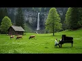 Download Lagu Beautiful Classical Music Heals the Heart🌿 Mozart, Beethoven, Bach, Chopin, Schubert, Debussy