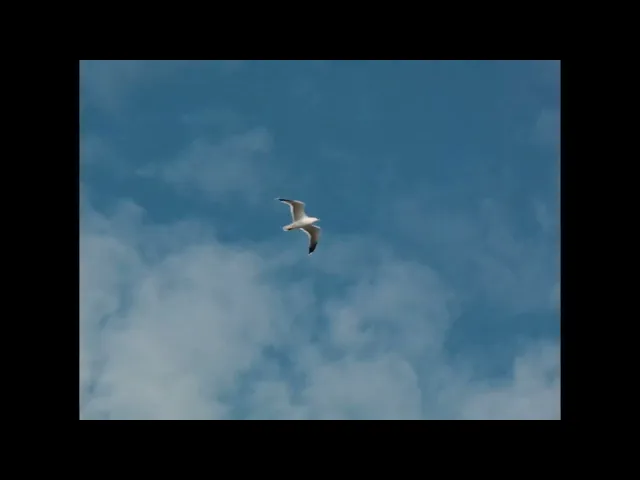 E.1027: Eileen Gray e la Casa sul Mare | Clip 2