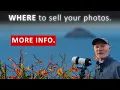 More of your questions answered Details about WHERE you could sell
