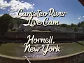 Canisteo River Live Cam - Hornell New York