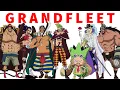 The Absurdity of the Straw Hat Grand Fleet One Piece