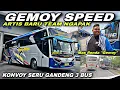 Lagu Artis Baru Team Ngapak 😍 Konvoy Seru Gandeng 3 Bus ❗️| trip Sugeng Rahayu W 7004 UP “ Gemoy Speed “