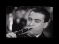 Artie Shaw   Begin the Beguine
