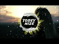 Michelle - Du Idiot (TOBEY NIZE REMIX) [HARDSTYLE]