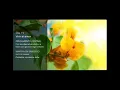Download Lagu Deepak Chopra - Ismael Cala Día 19 Reto de Meditación de 21 Días Creando Abundancia