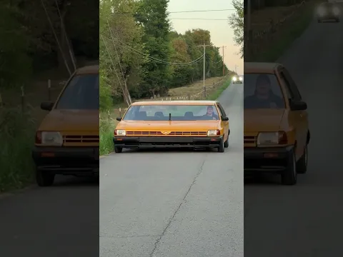 🚗😂 ¡¿PERO QUIÉN CONDUCE AQUÍ?!🐶🤣 #Comedy