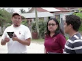Census Mapping 2019