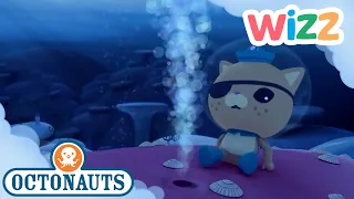 @Octonauts - The Albino Humpback Whale | Full Episode | Cartoons for Kids | @Wizz  ​