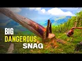 Snags and Hang-ups