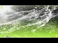 [Beatmania IIDX 33 Sparkle Shower] メルト CPK! Remix (初音ミク ver.) SPA 正規