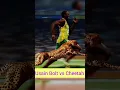 Lagu Usain Bolt vs Cheetah,sports, Olympic