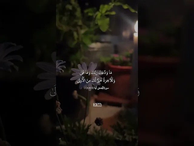 ⁣بِسْمِ اللَّهِ الرَّحْمَنِ الرَّحِيم✨#قرآن #تلاوة #سو_الضحى