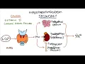 Understanding Hyperparathyroidism